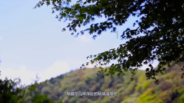 不是吧,“性张力”十足的他俩真谈上了?